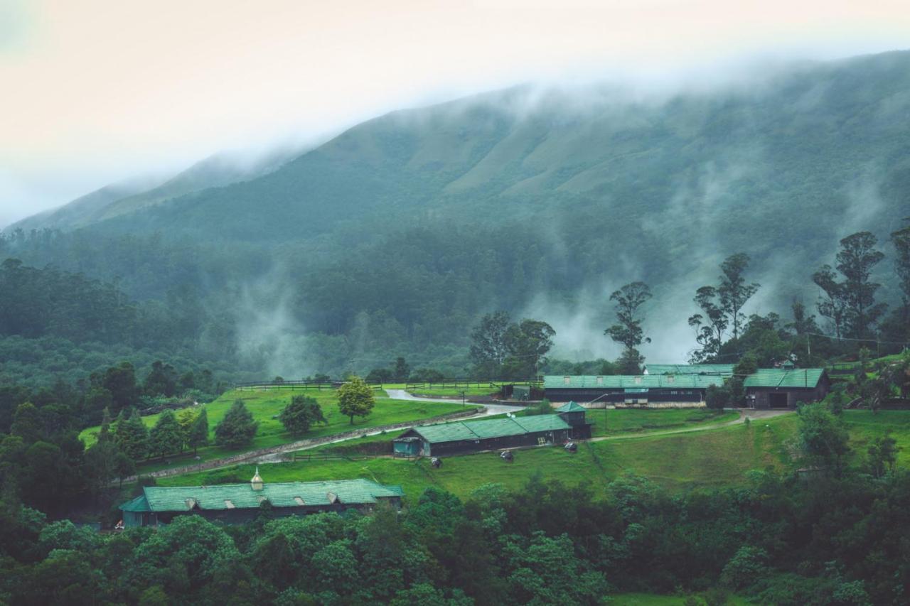 Farm stay Destiny - The Farm