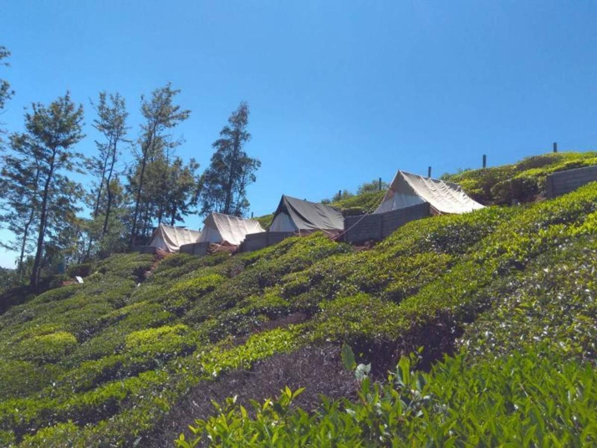 Swiss Tents In Ooty, Tn Ooty