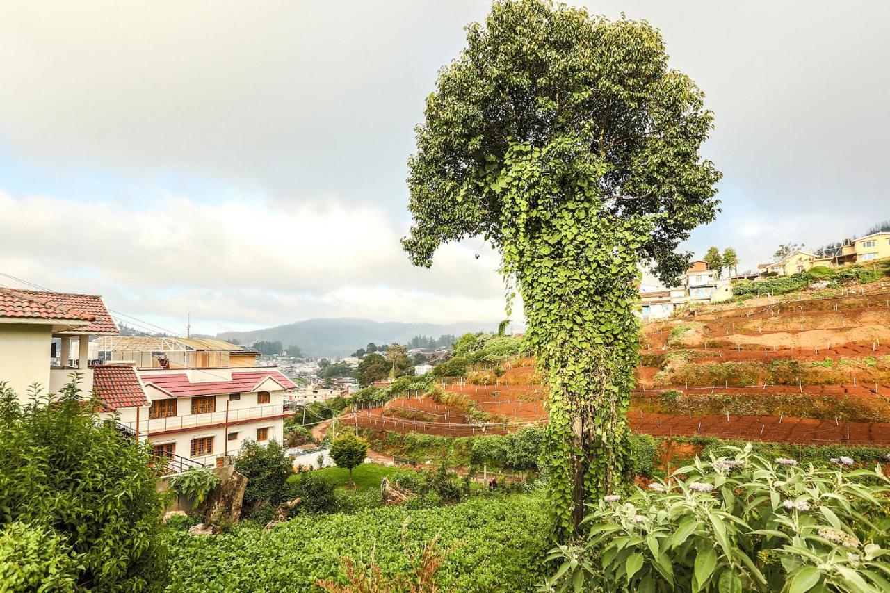 Hotel Fabhotel Heritage Alibaba