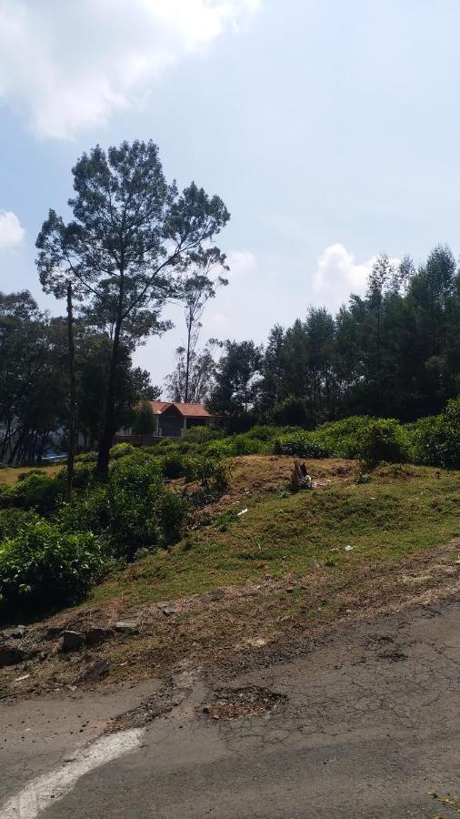 Valley View Ooty