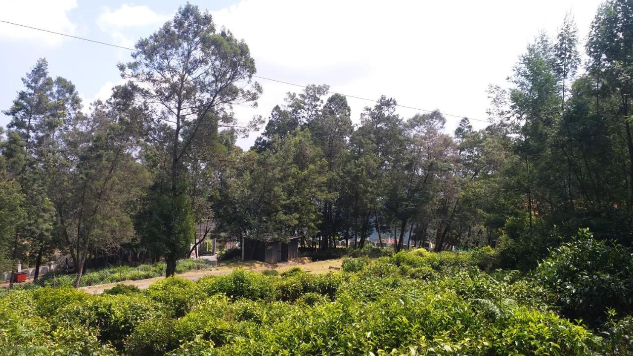 Valley View * Ooty