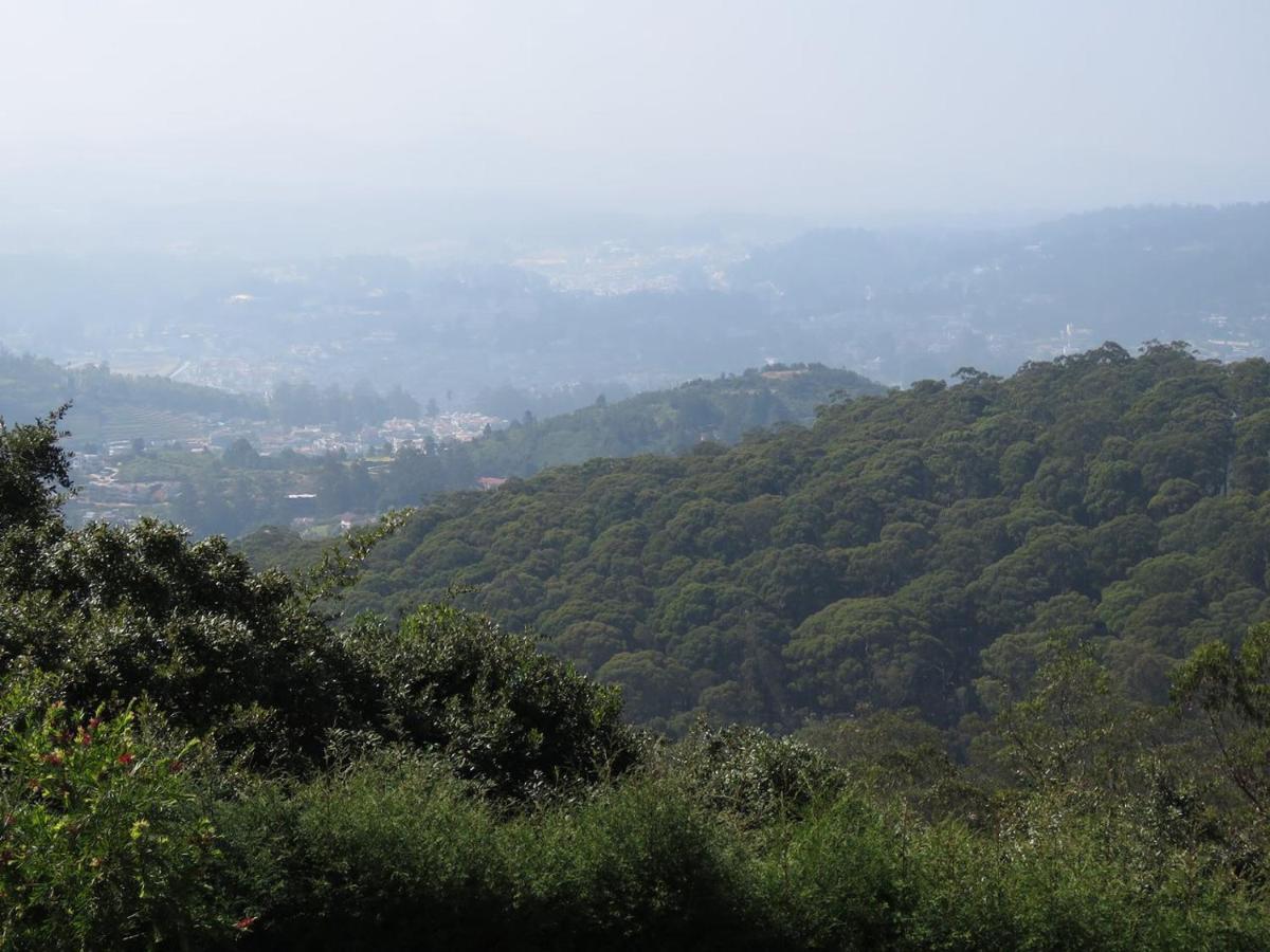 Valley View