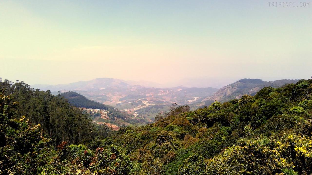 Valley View Resort