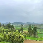 Mountain Mist Meadows