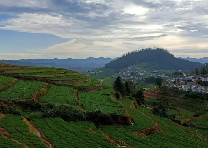 Heritagewoods Ooty