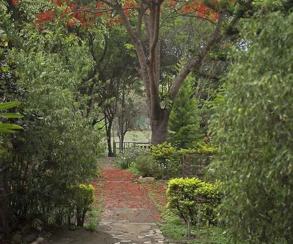 Forest Hills Farm And Guesthouse
