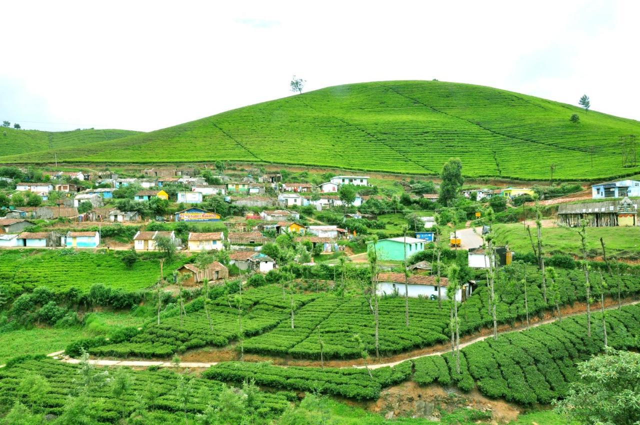 Palace * Ooty