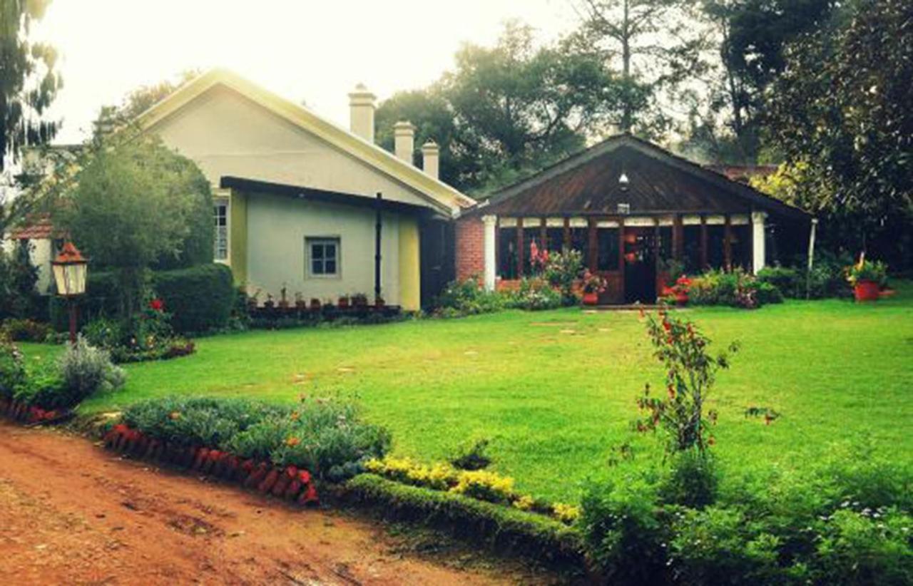 Lymond House 3*