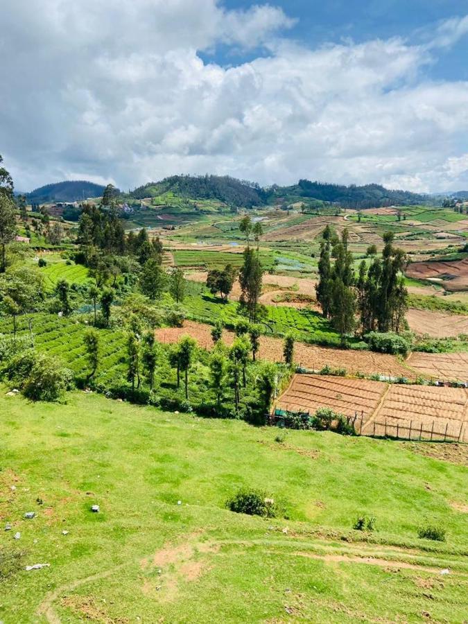 Mountain Mist Meadows Homestay Ooty