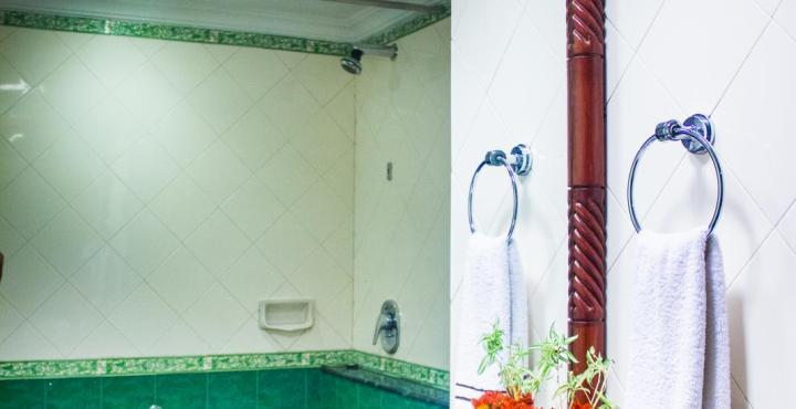 Nahar Nilgiris Hotel 3*