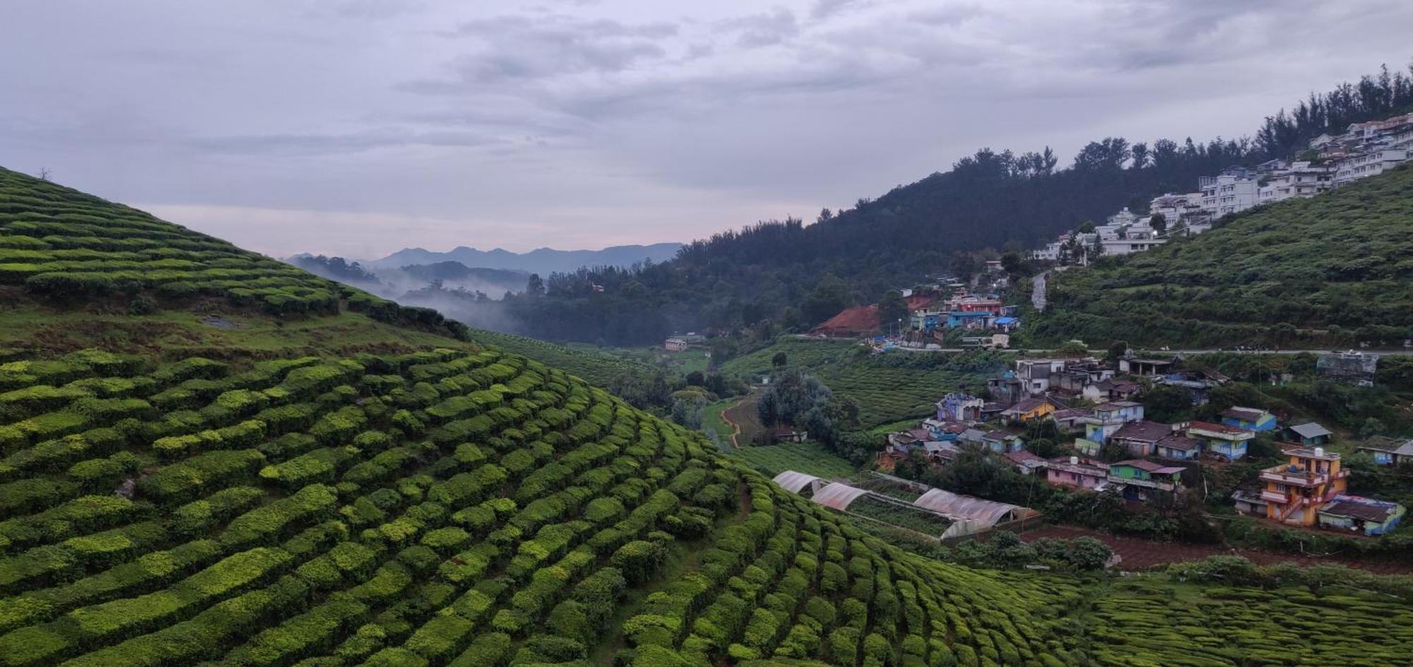 Hill Bird Heritage * Ooty