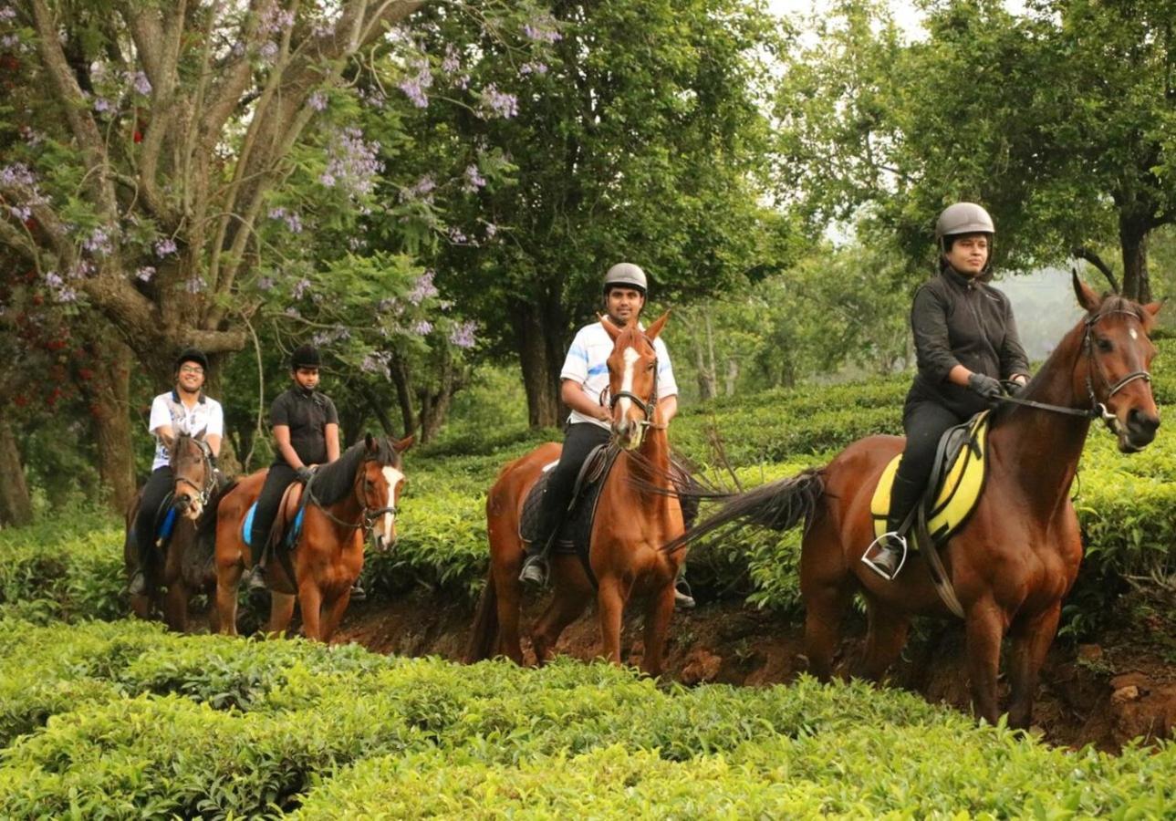 Hotel Rosewood By Nature And 4*