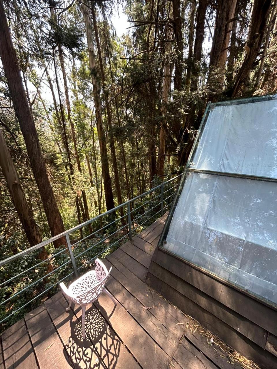Wood House 1 *