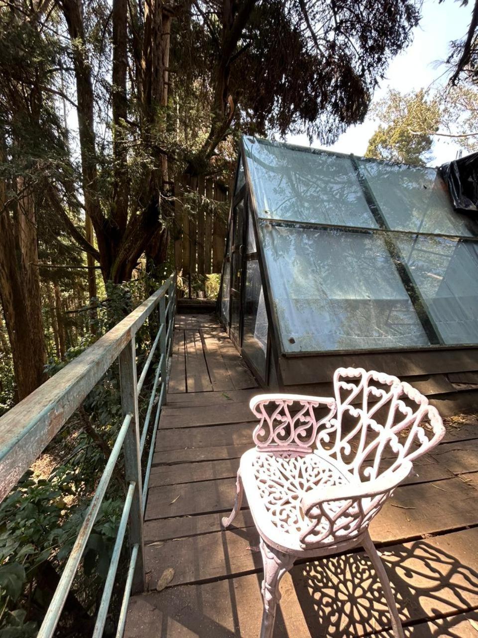 Wood House 1 * Ooty