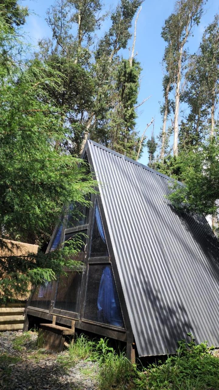 Wood House 1 * Ooty