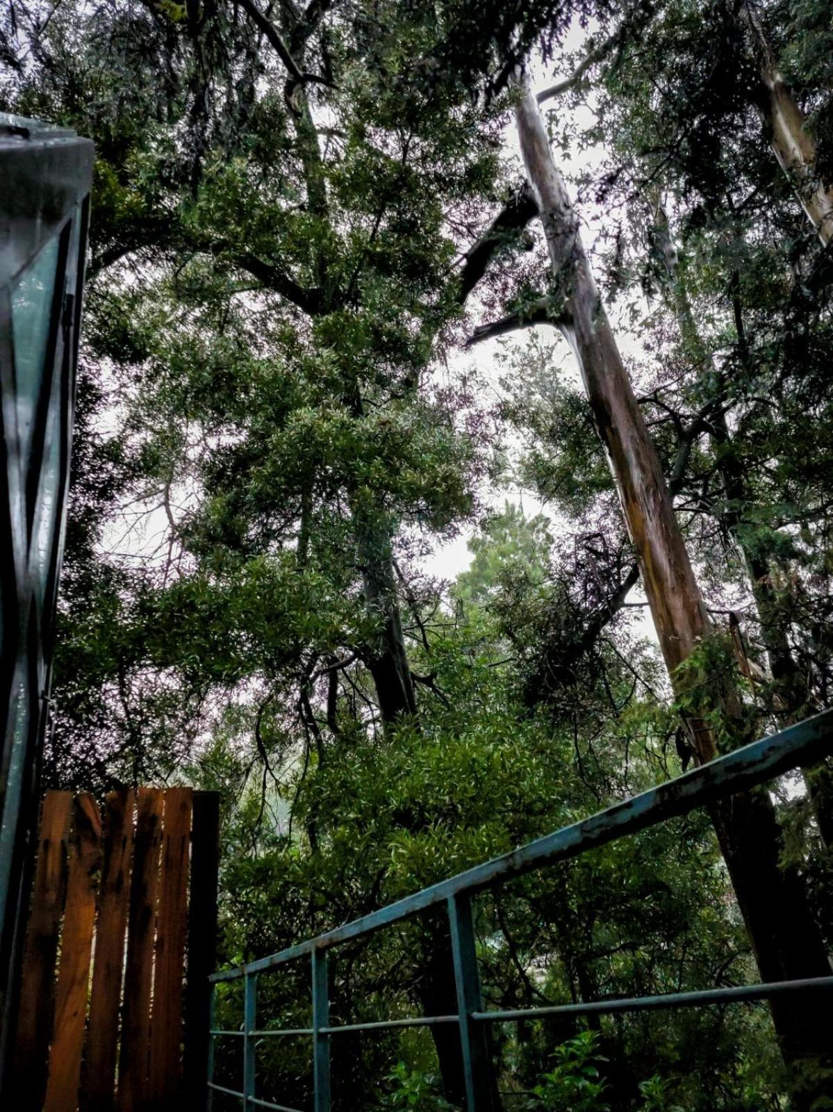 Wood House 1 Hotel