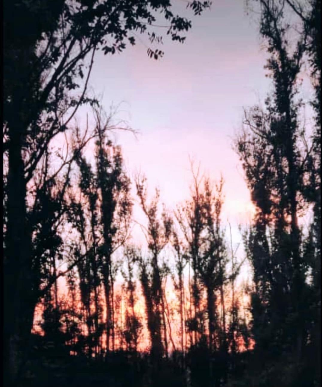 Holiday home Hideaway43 *