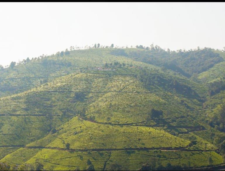 Apartment Sandy Wood House - 2bhk Ooty