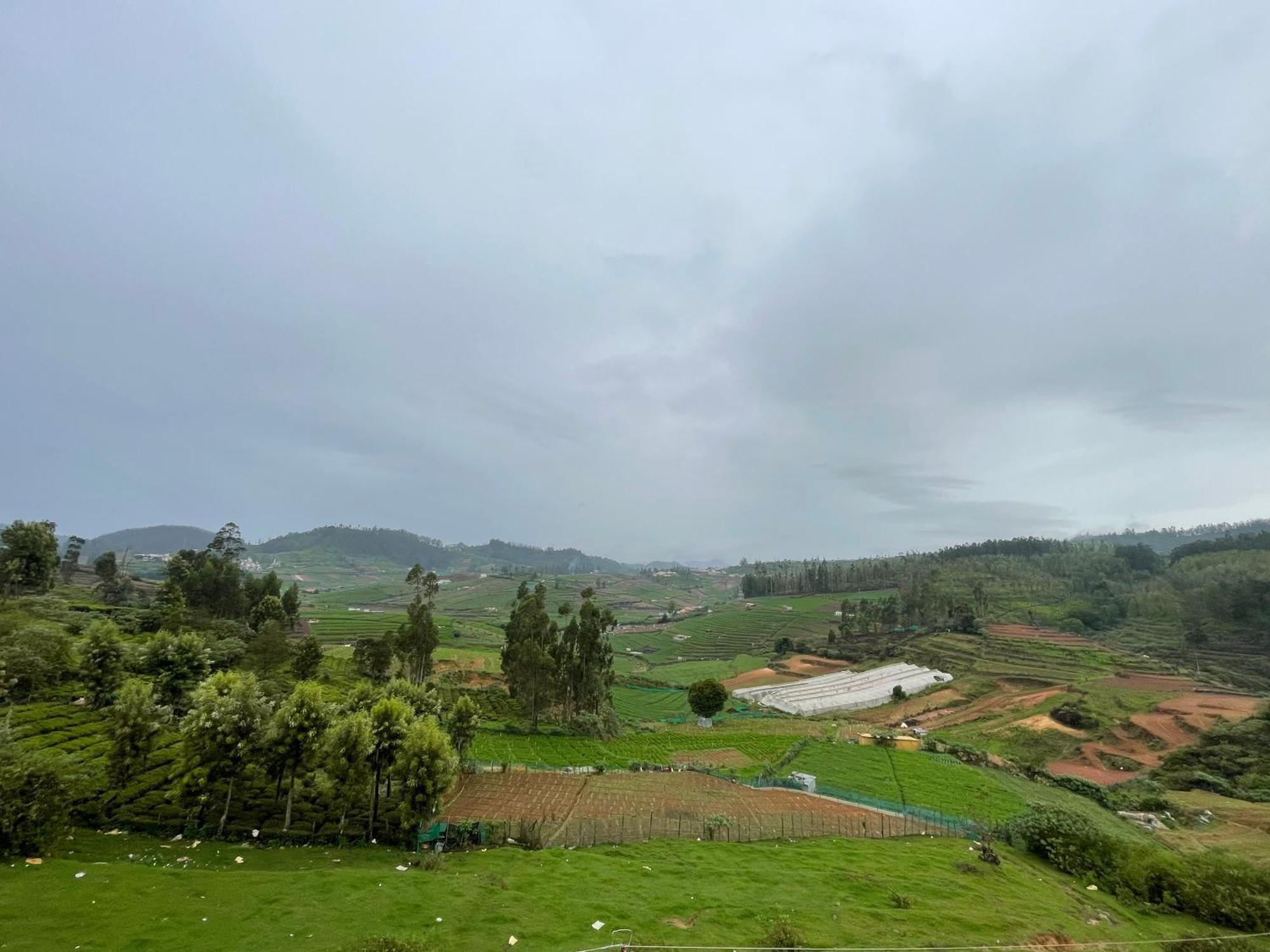 Mountain Mist Meadows Homestay Ooty