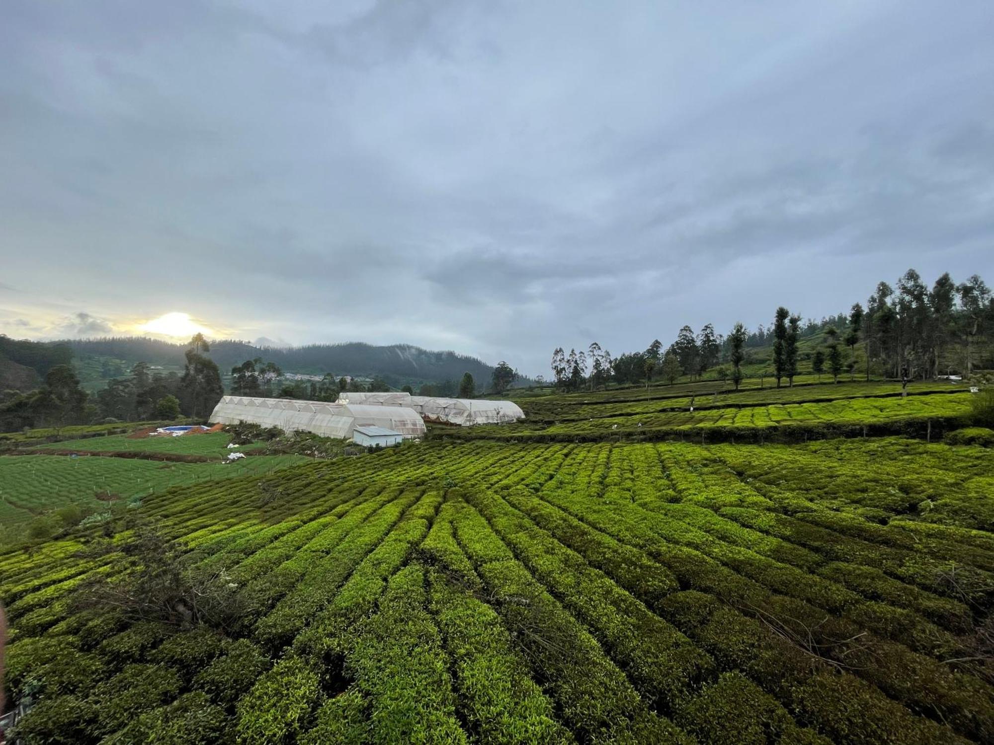Homestay Mountain Mist Meadows *