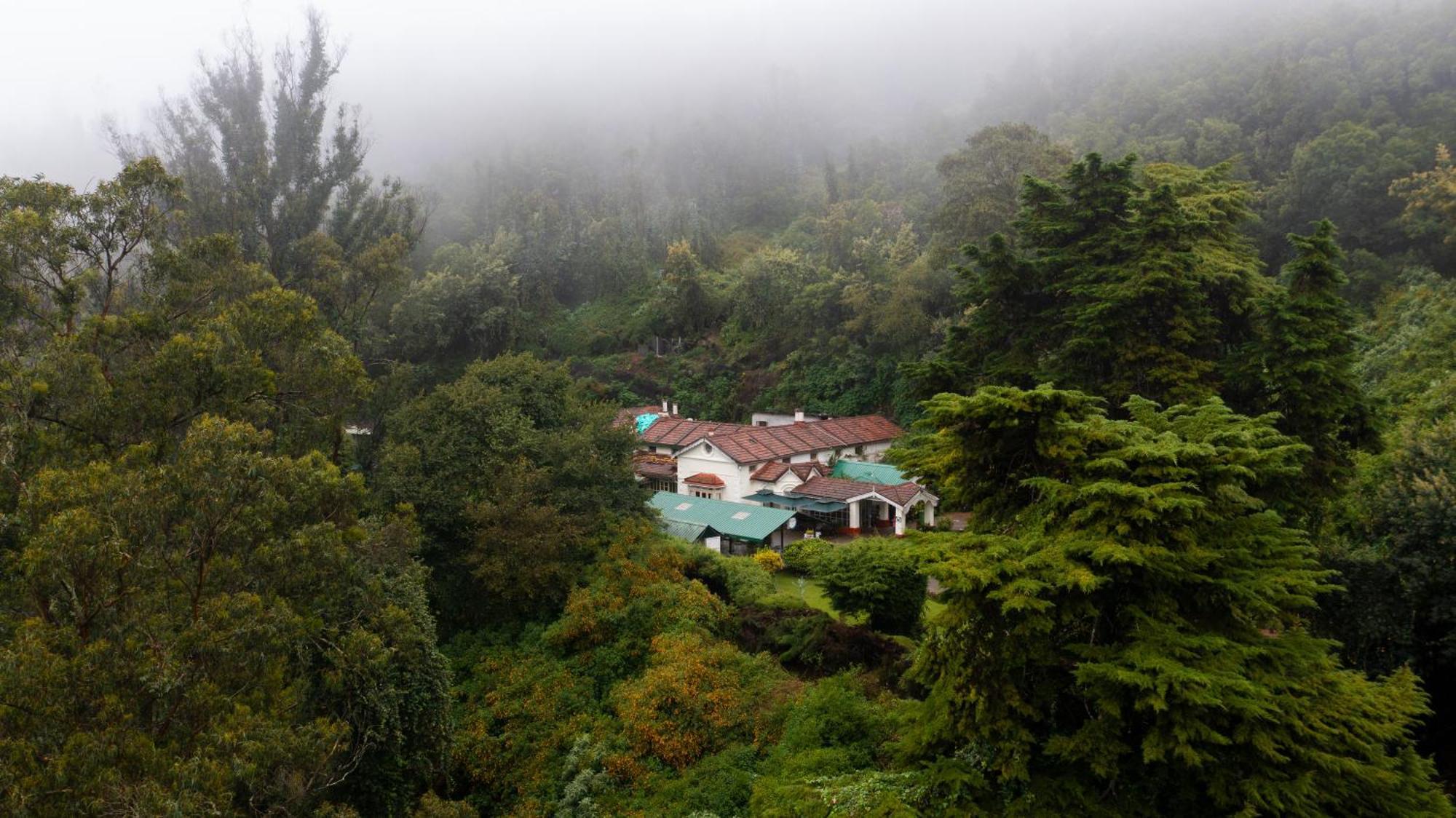 Resort King's Cliff 3*