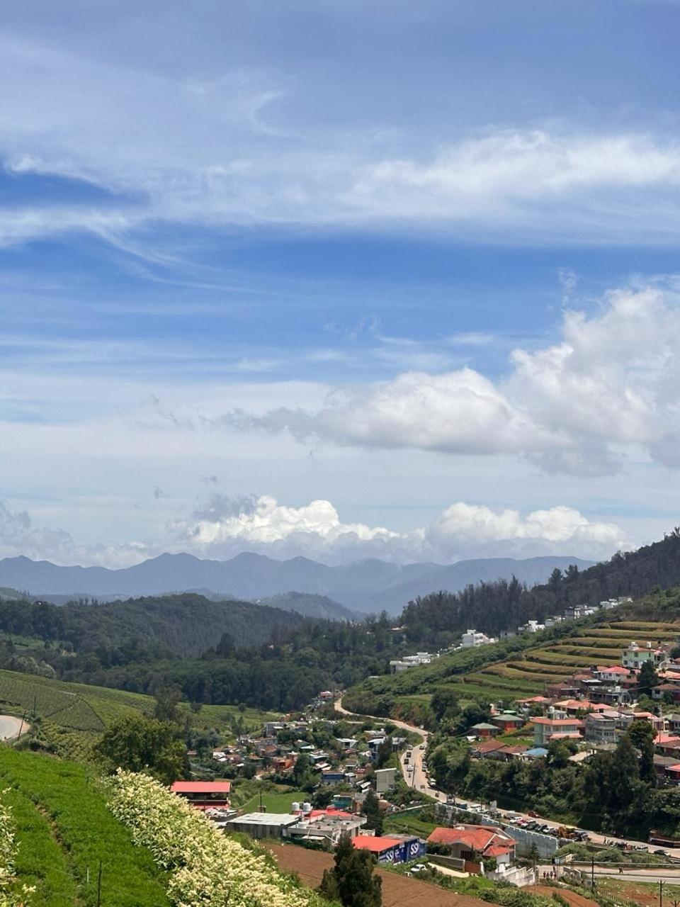 Rastafari - The Backpackers * Ooty