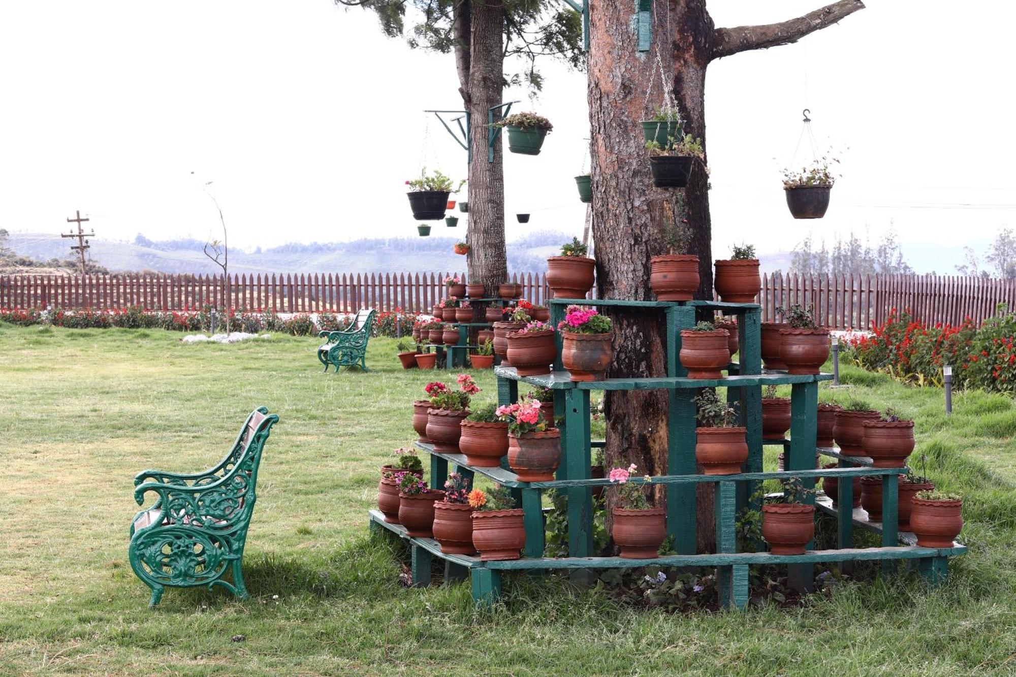 7 Bhk Luxury Heritage - Rock Villa *