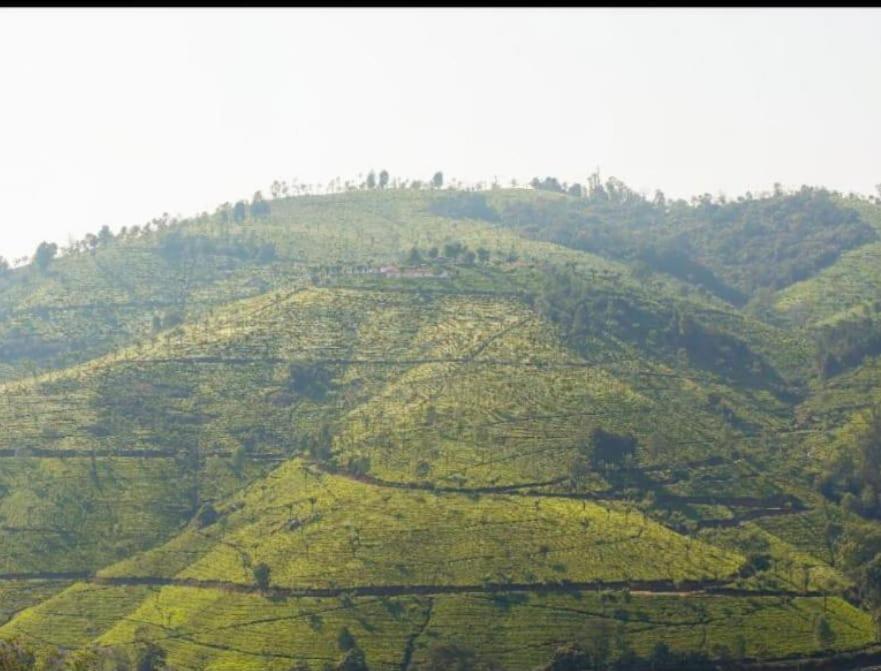 Sandy Eco Woodhouse - 2 Bhk * Ooty