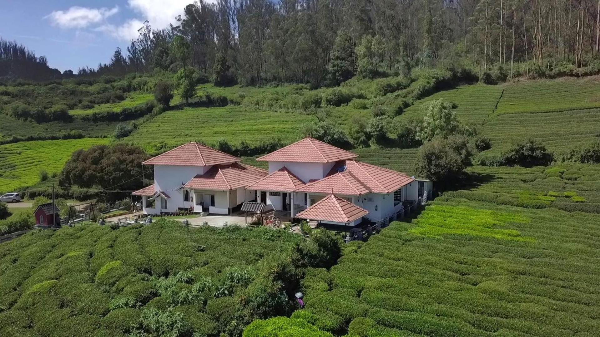 Bed & Breakfast Leaves The Countryside *