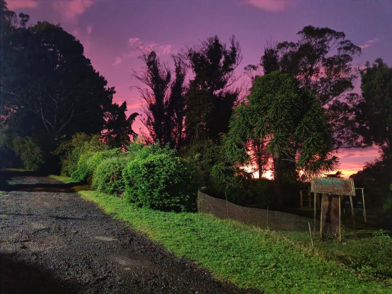 Natures Retreat And Ooty