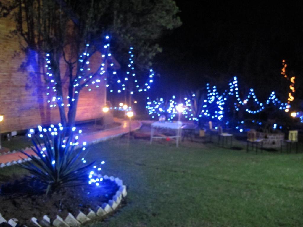 Glyngarth Apartment Ooty