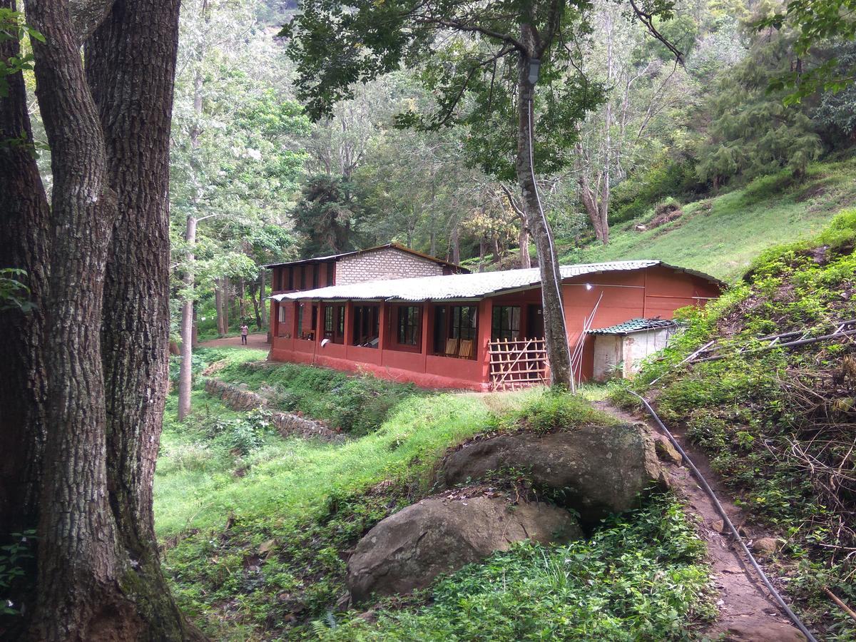 Secret Valley Jungle 2*