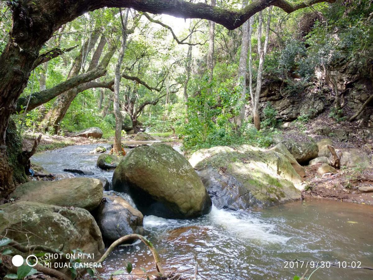 Secret Valley Jungle 2* Ooty