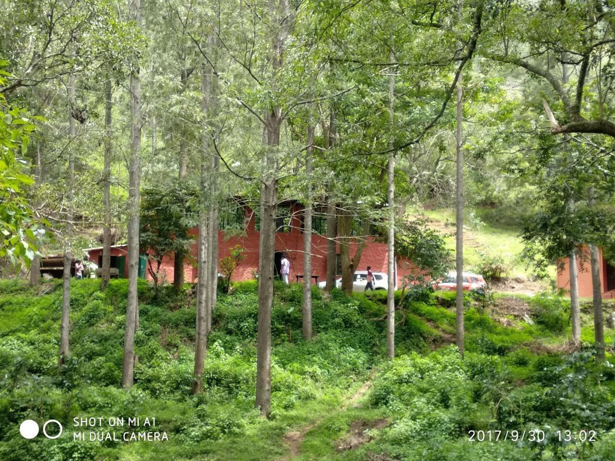 Secret Valley Jungle Resort 2*