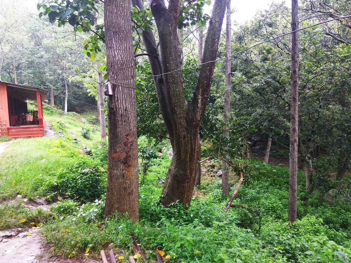Resort Secret Valley Jungle Ooty