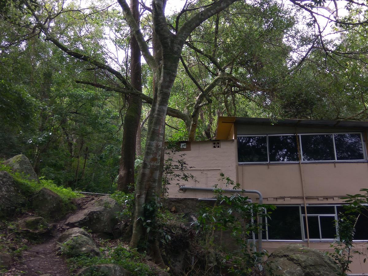 Secret Valley Jungle 2*