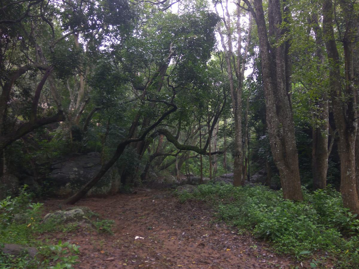 Secret Valley Jungle Resort 2*