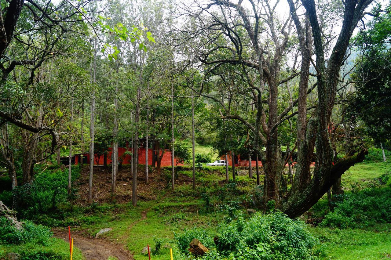 Resort Secret Valley Jungle Ooty