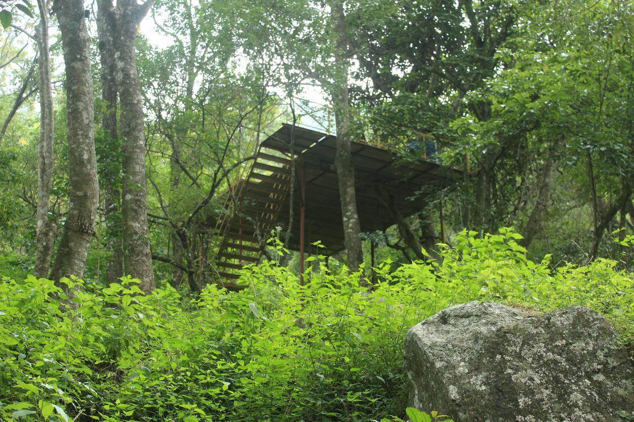 Secret Valley Jungle
