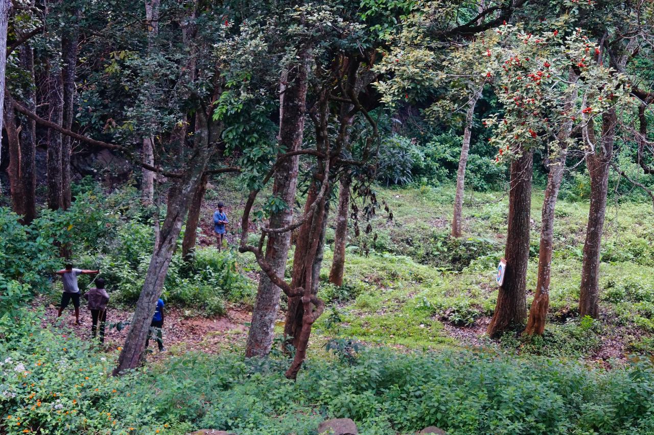 Secret Valley Jungle Resort Ooty