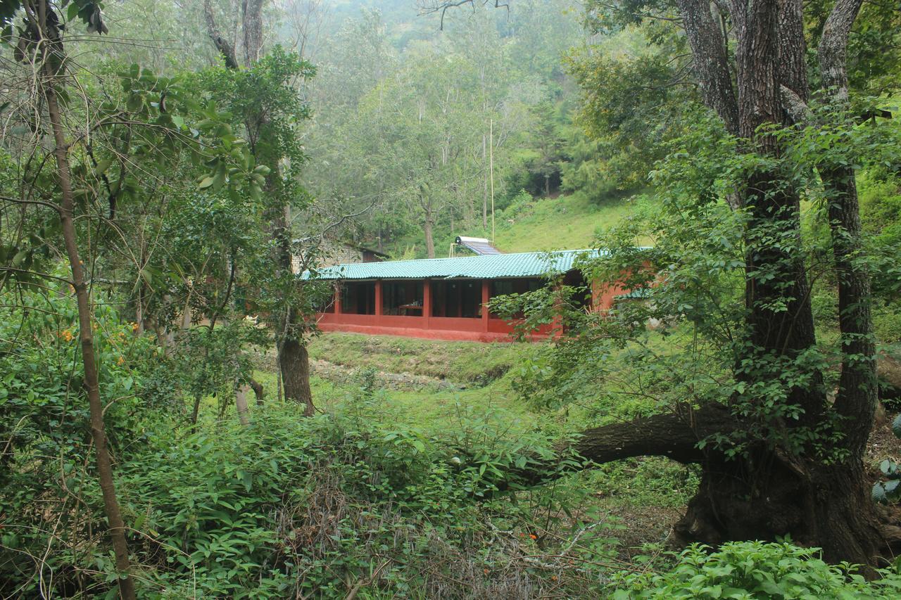 Secret Valley Jungle