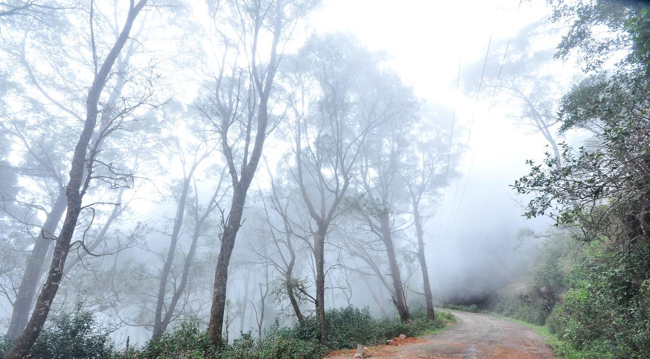 Hotel City Palace Ooty