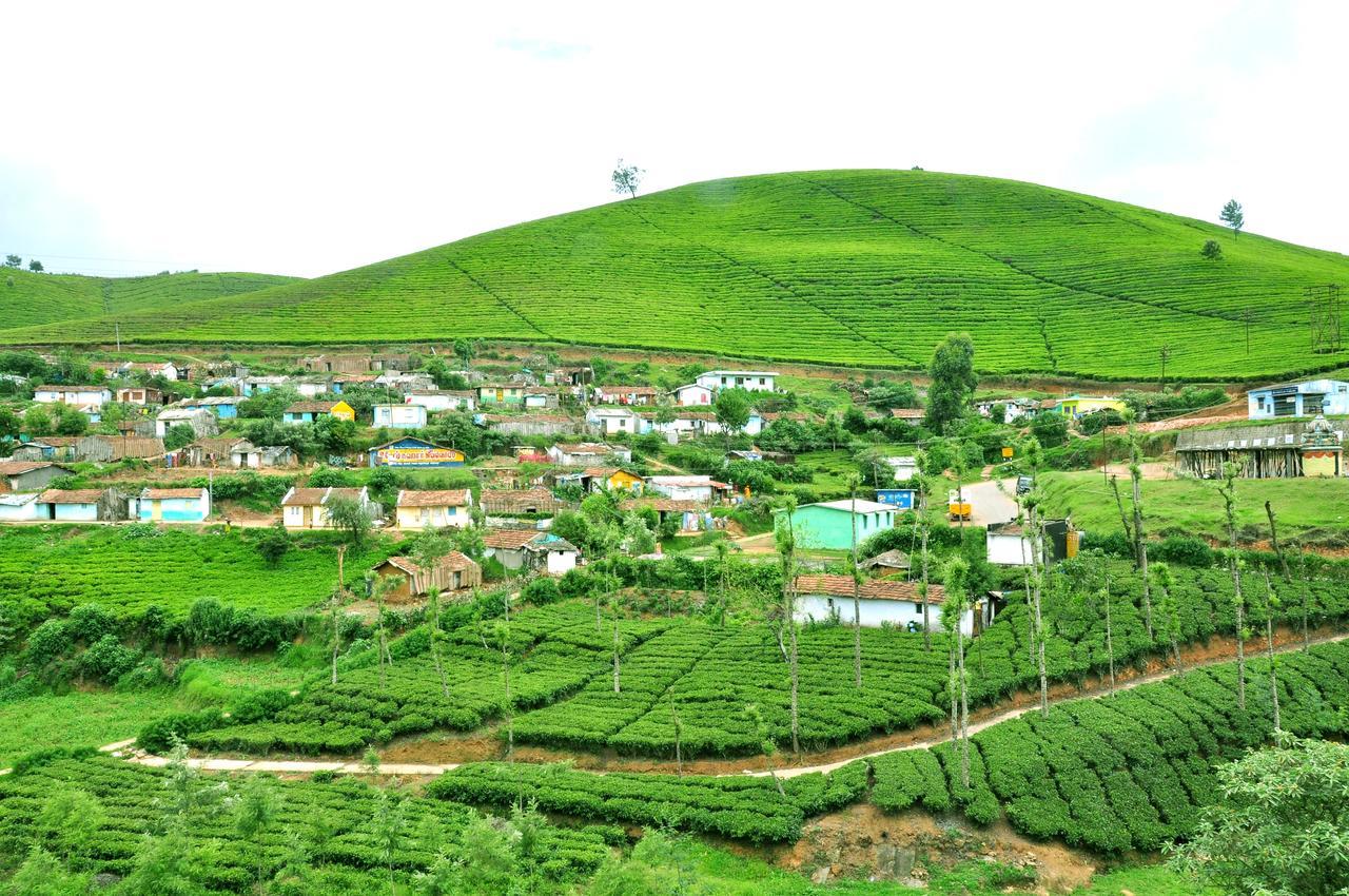City Palace * Ooty