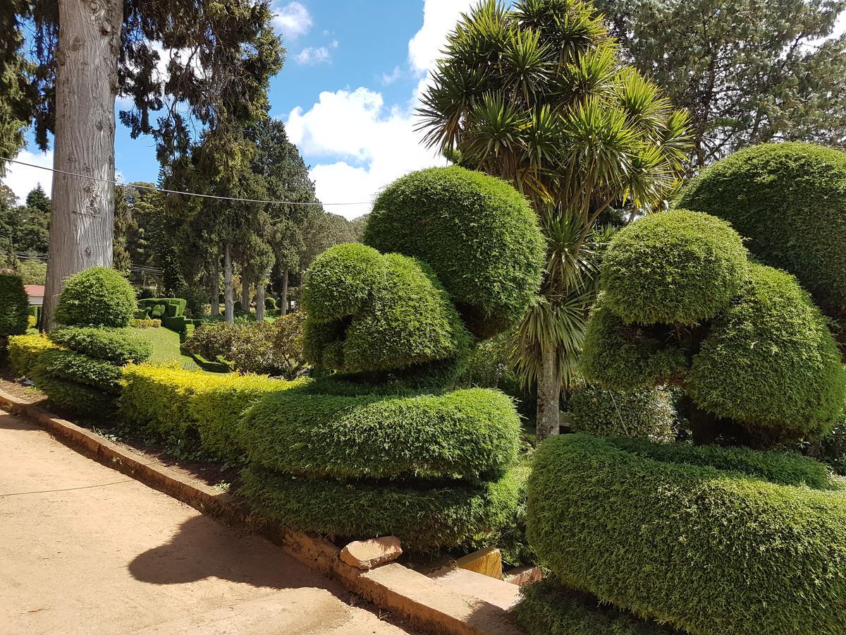 Resort Kstdc Mayura Sudarshan ,ooty Ooty