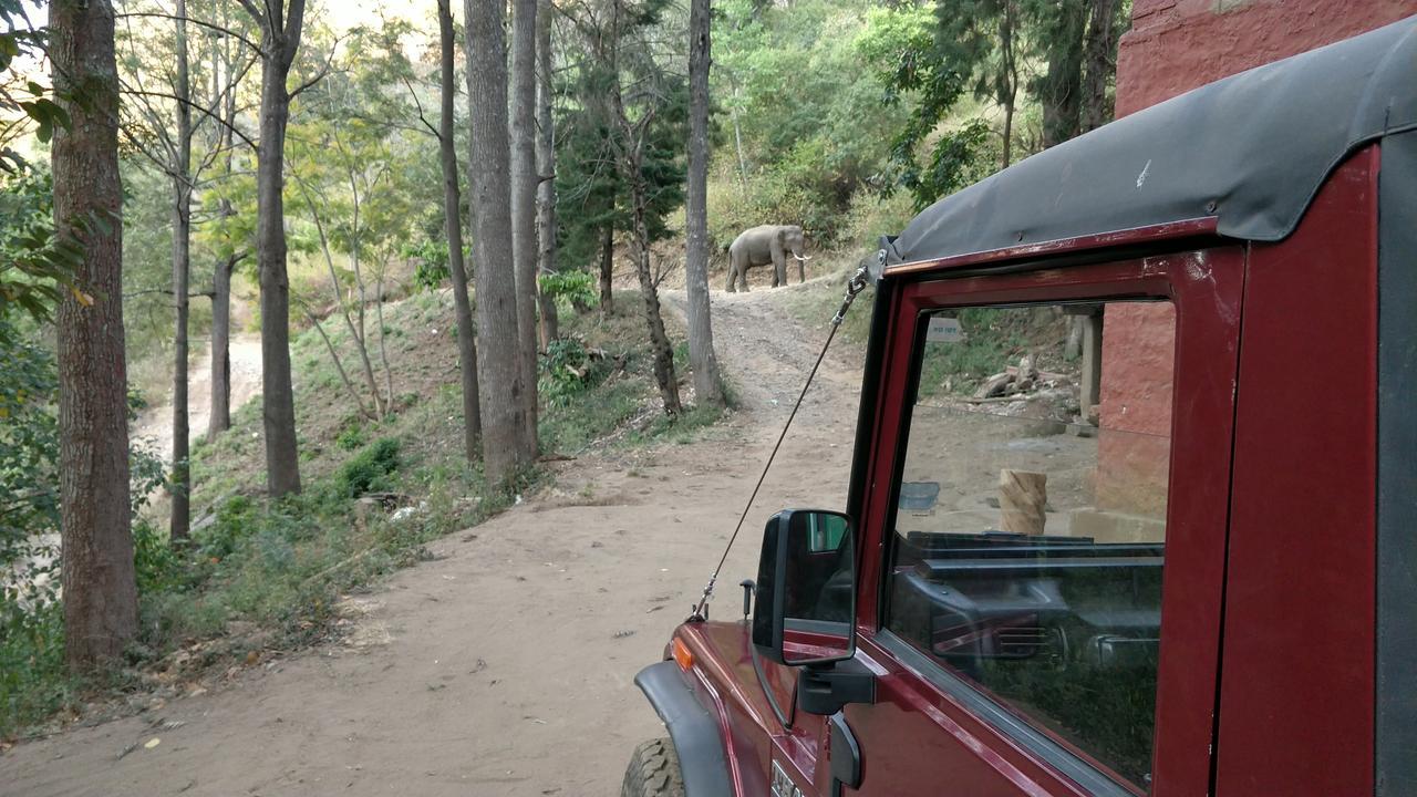 Secret Valley Jungle Resort Ooty