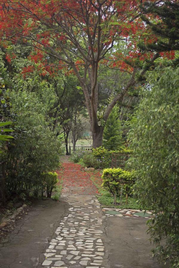 Forest Hills Farm And Resort 2*