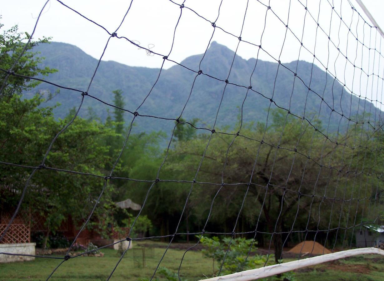 Forest Hills Farm And Resort