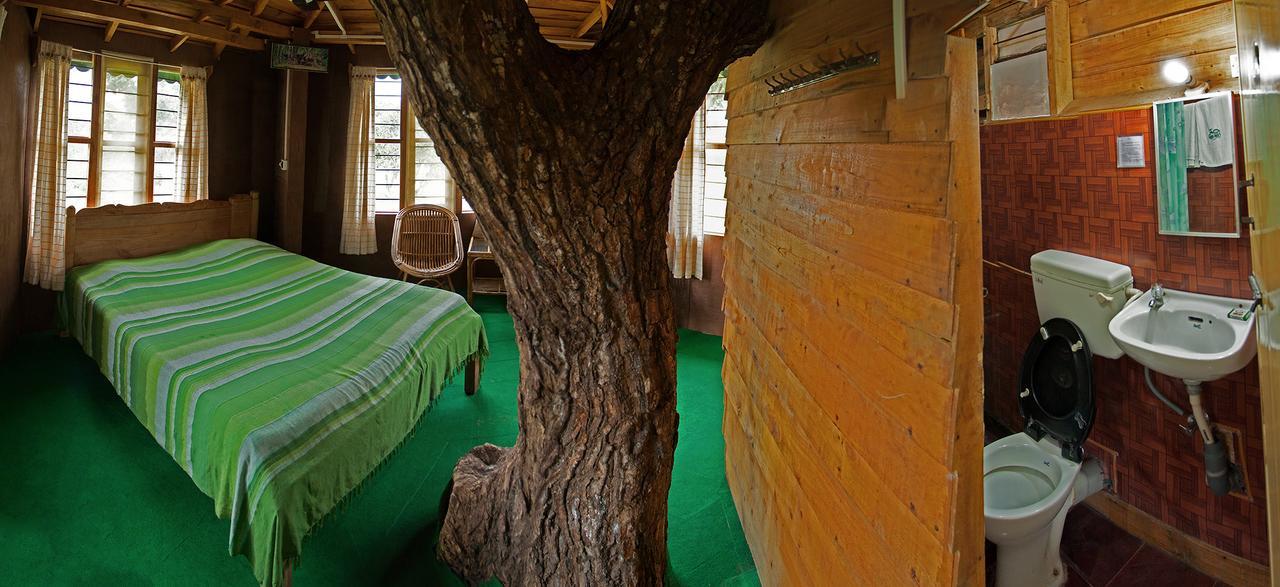 Forest Hills Farm And Resort