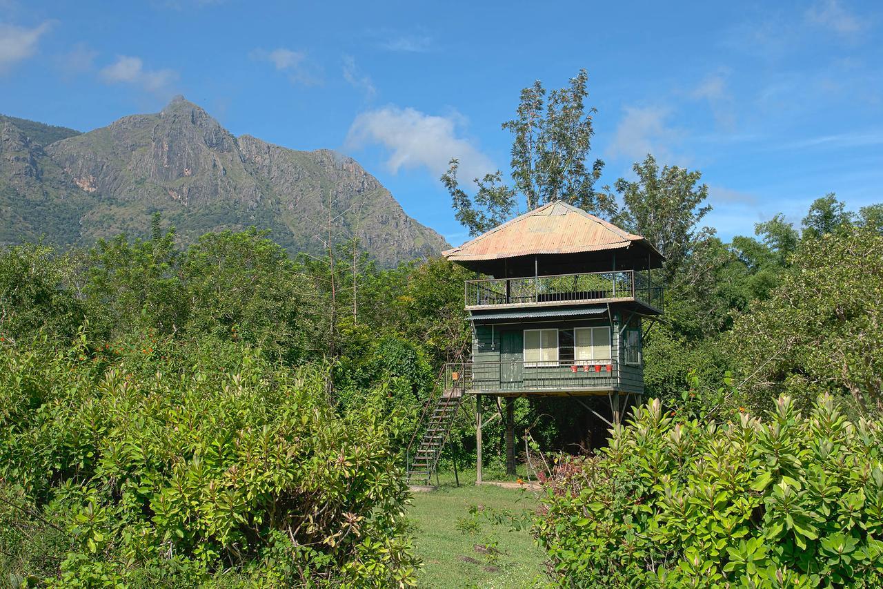 Resort Forest Hills Farm And Ooty