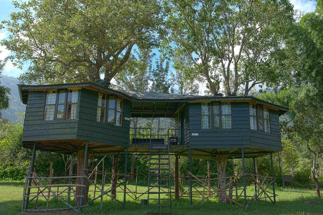 Resort Forest Hills Farm And